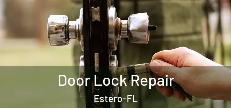 Door Lock Repair Estero-FL