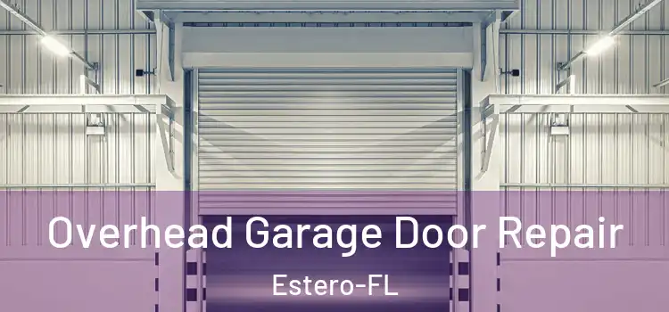 Overhead Garage Door Repair Estero-FL