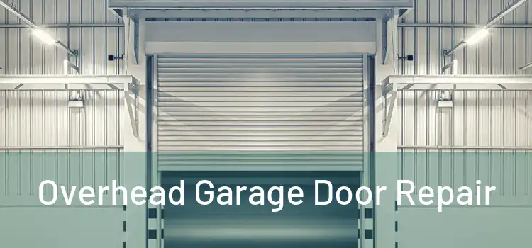  Overhead Garage Door Repair 
