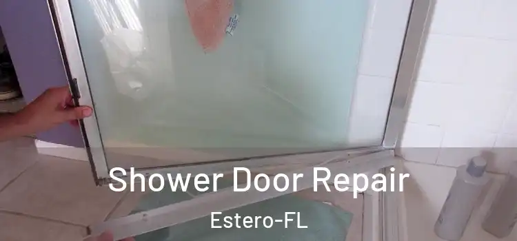  Shower Door Repair Estero-FL